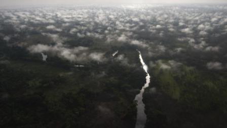 Une vue aérienne du parc naturel de la Garamba, en RDC, à la frontière du Soudan du Sud.